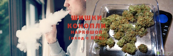 прущие грибы Богородицк