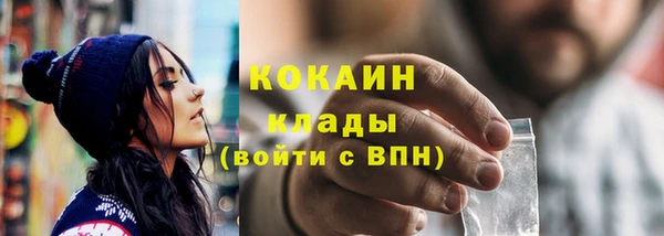 ПСИЛОЦИБИНОВЫЕ ГРИБЫ Инсар