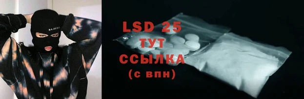 прущие грибы Богородицк