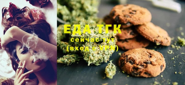 индика Козельск