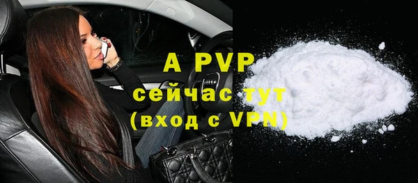 СК Белокуриха
