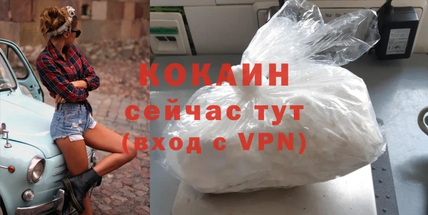 прущие грибы Богородицк