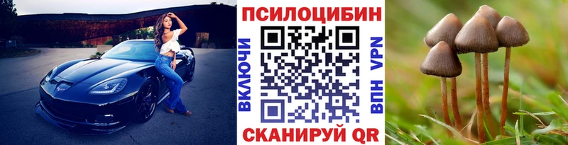 Псилоцибиновые грибы мухоморы  дарк нет клад  Богородицк  наркошоп  гидра сайт 